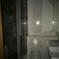 Ola Residences (D15), Condominium #582611081
